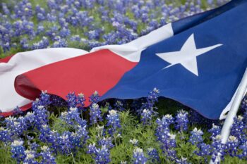 Supreme Court Smashes Guileless Globalists In Seminal Ruling